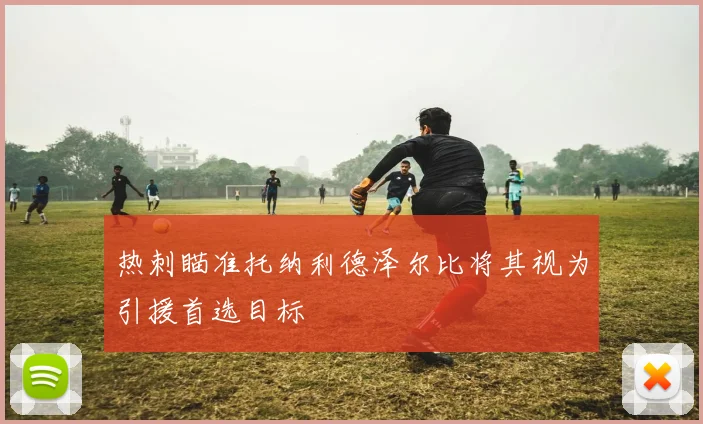热刺瞄准托纳利德泽尔比将其视为引援首选目标